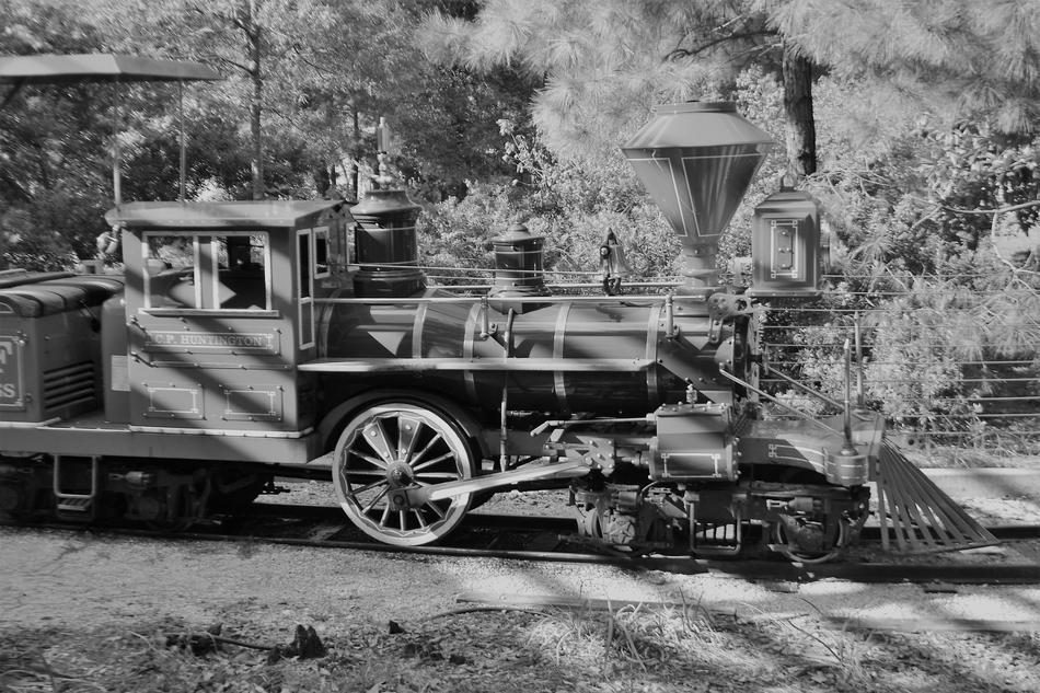 Children'S Train Herman Park