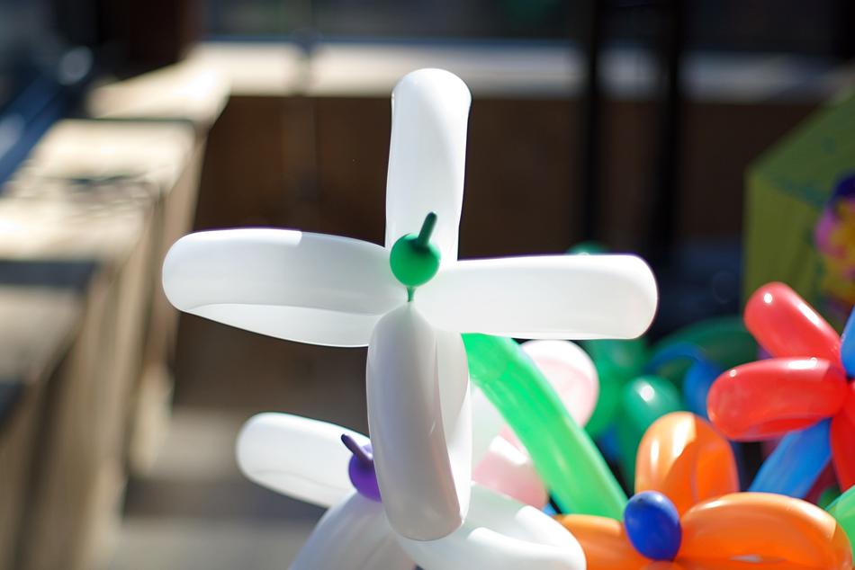 Balloon Flower