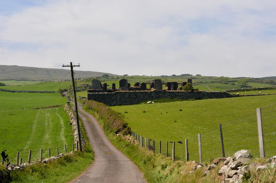 green field with a fence