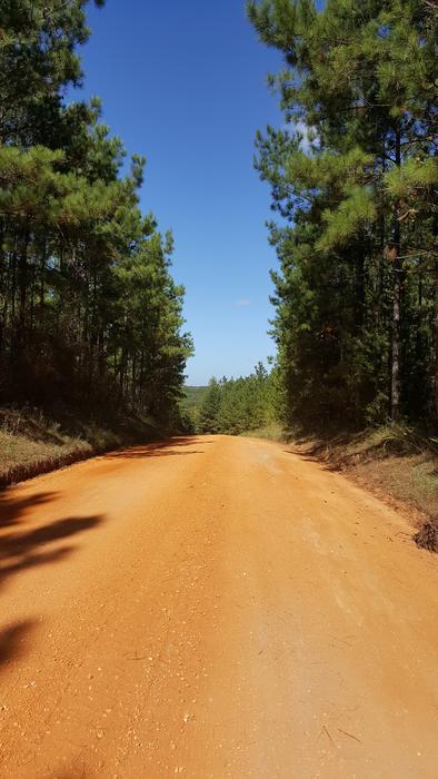Road Way Dirt