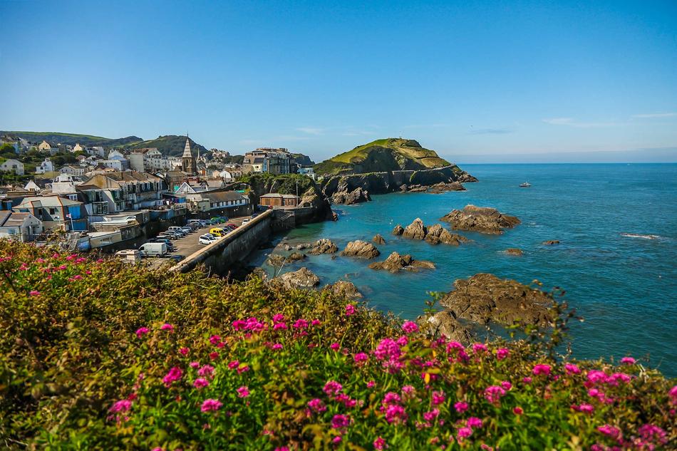 flowers and rocks on the coast of England