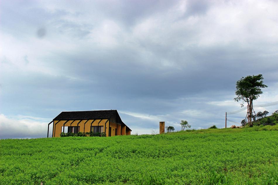 Beautiful landscape with the colorful house, among the green plants, in the countryside, under the sky with clouds