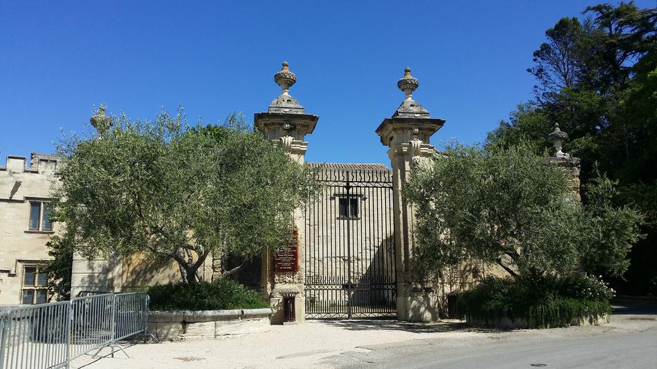 landscape of Olive Trees and gate