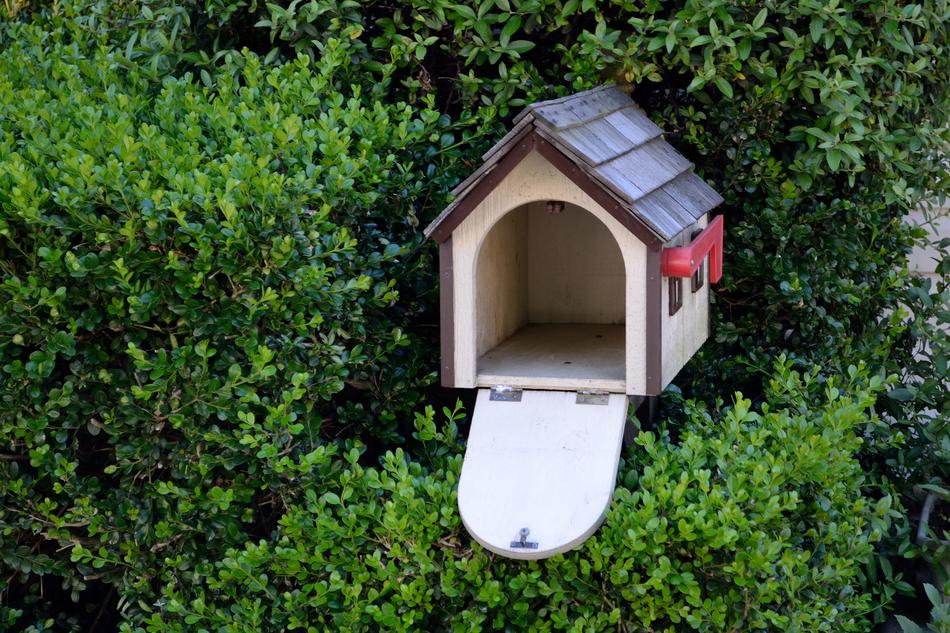 Bird House Garden