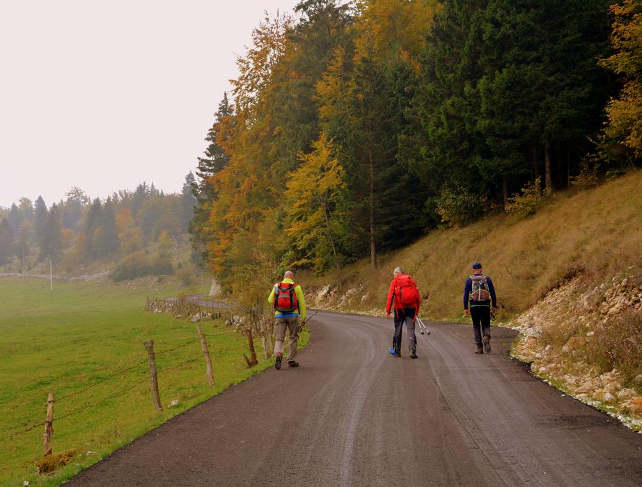 Excursion Walk Trekking