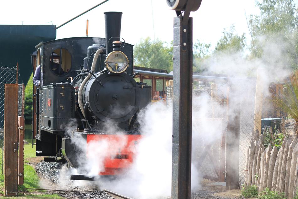 Little Train Park Locomotive
