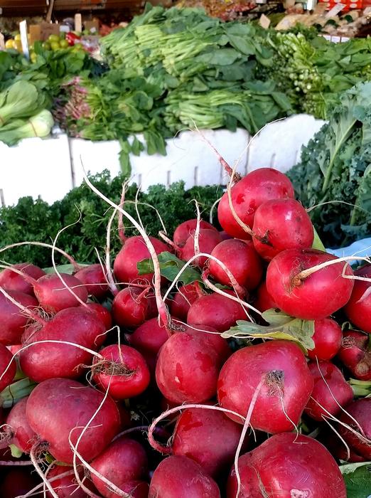 Ripe tasty radishes