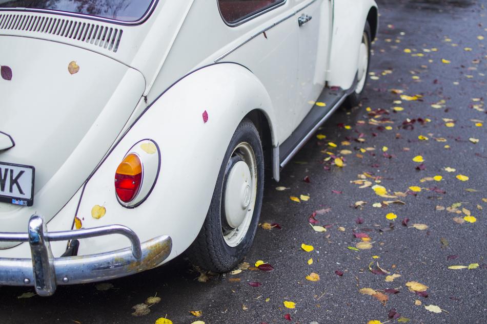 white car in the fall