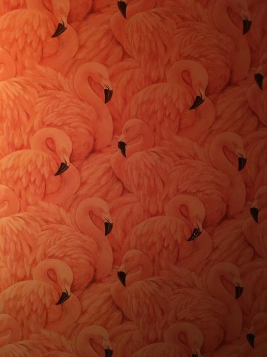 Pink Flamingo Wallpaper