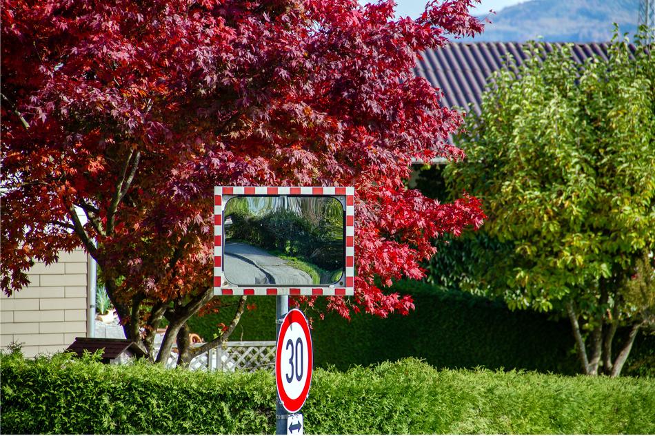 Road Mirror Street Sign