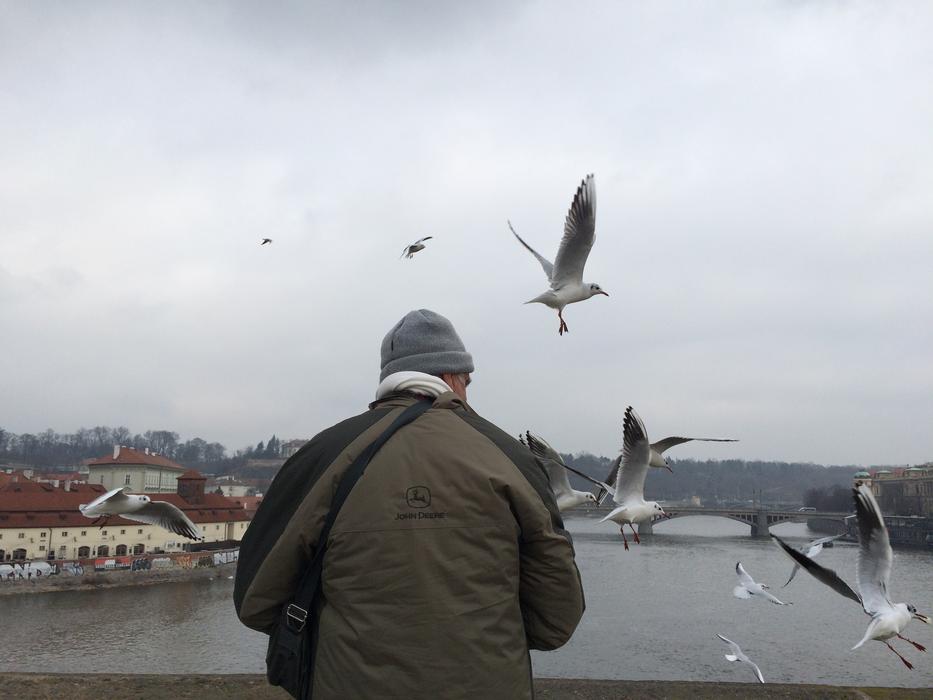 Bird Uncle