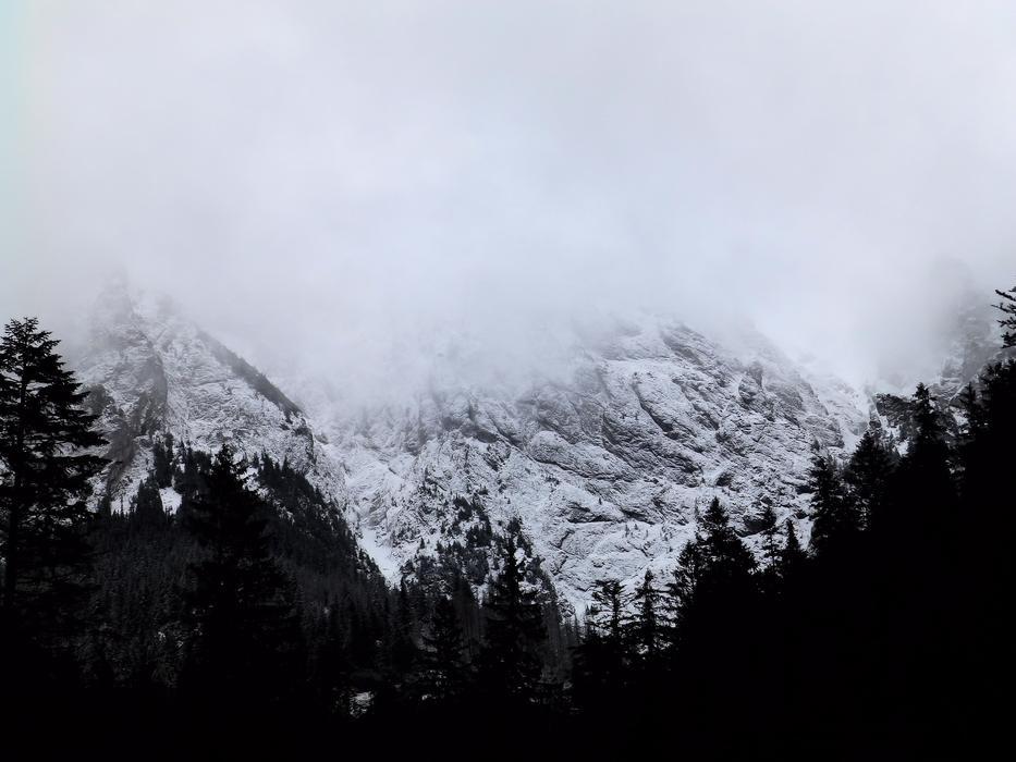 snow mountains in the forest