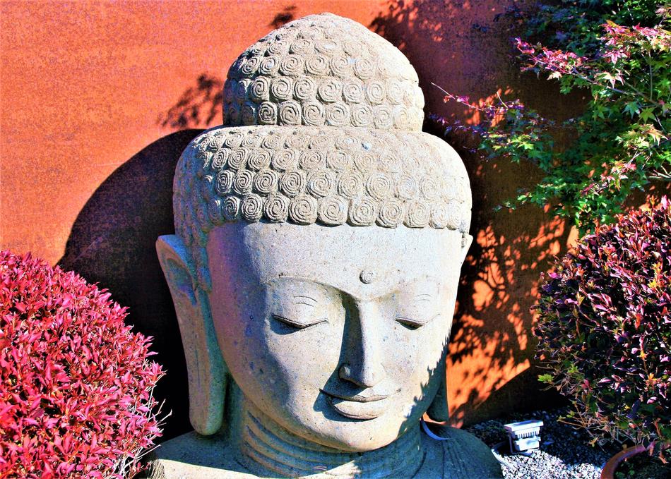 Buddha Zen Autumn