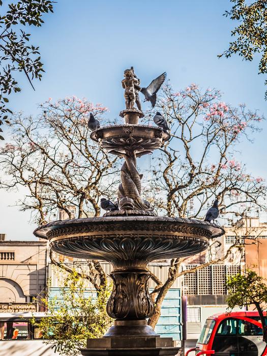 fountain trees park