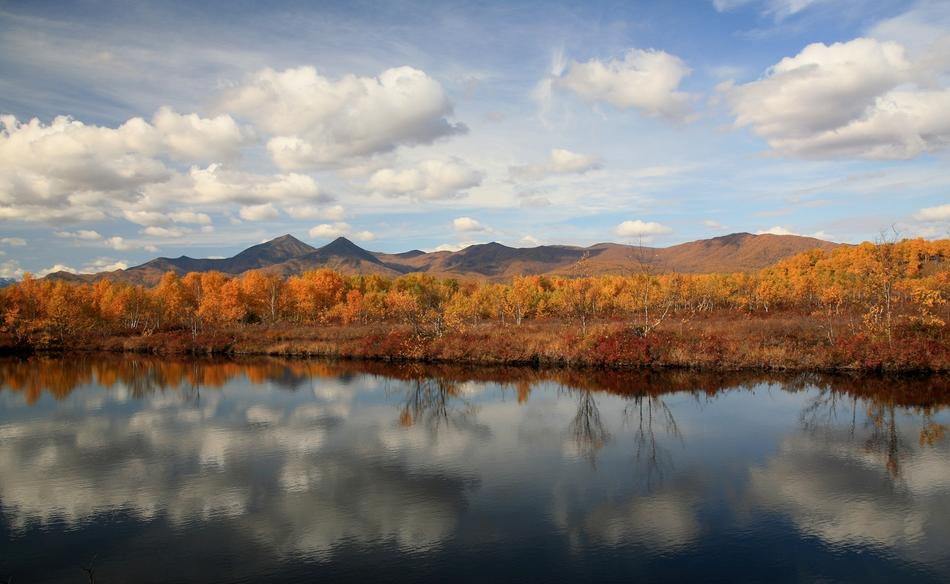 Autumn Forest Lake