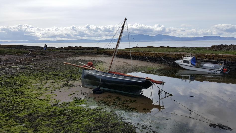 wooden boat on the swamp
