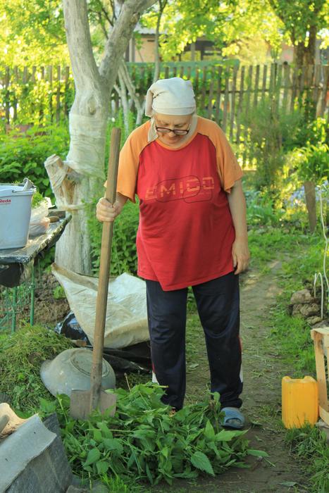Mother-In-Law Dacha Russia