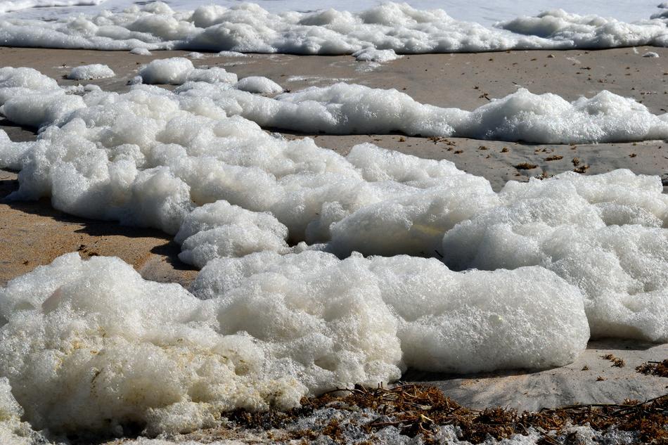 Ocean Foam on beach