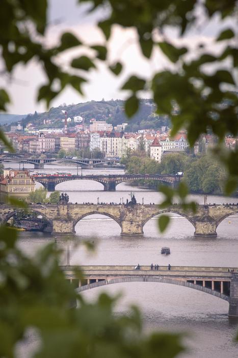 Beautiful view of the bridges in Prague, Czech Republic, through the plants