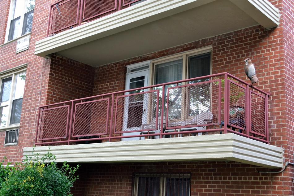 Terrace in Condominium