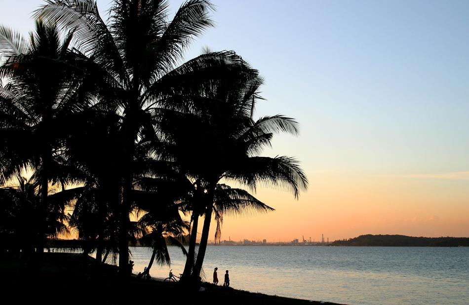 Beach Palms at Sunset