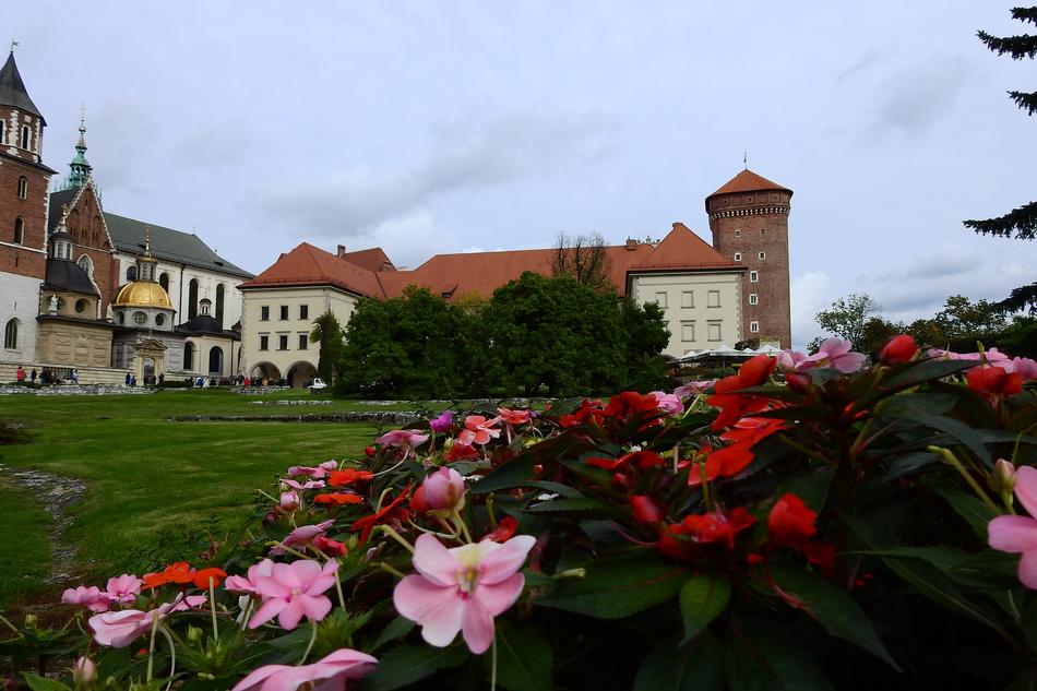 Beautiful and colorful plants with the flowers, in Wawel, KrakÃ³w, Poland