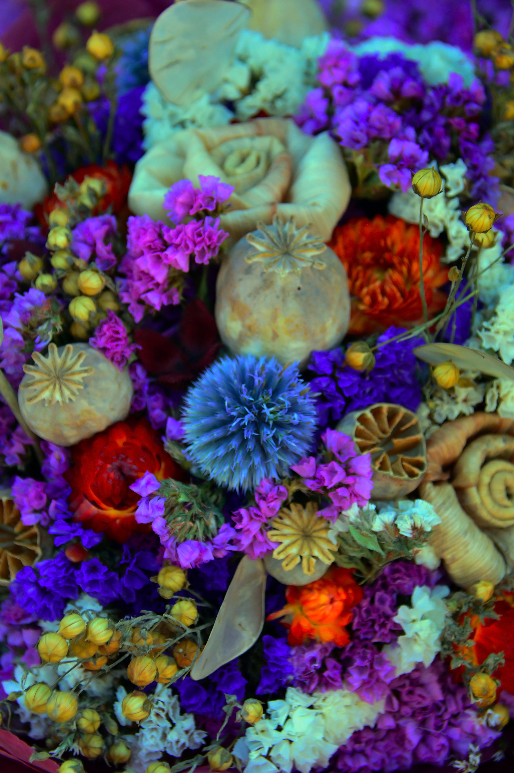 Dried Flower Color Wreath free image download