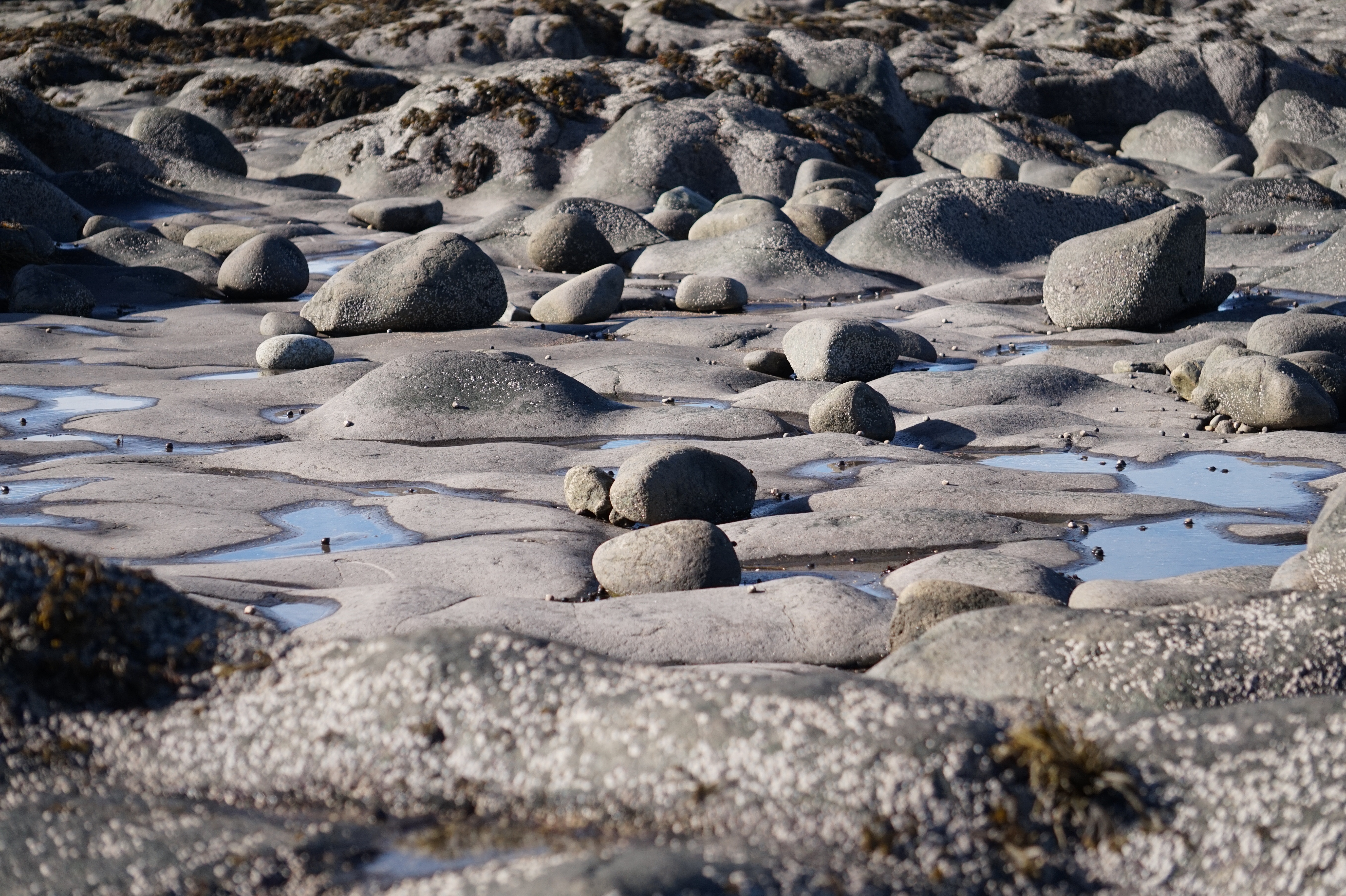 Rocks Stones Beach <b>Bay</b> <b>Of</b> image.