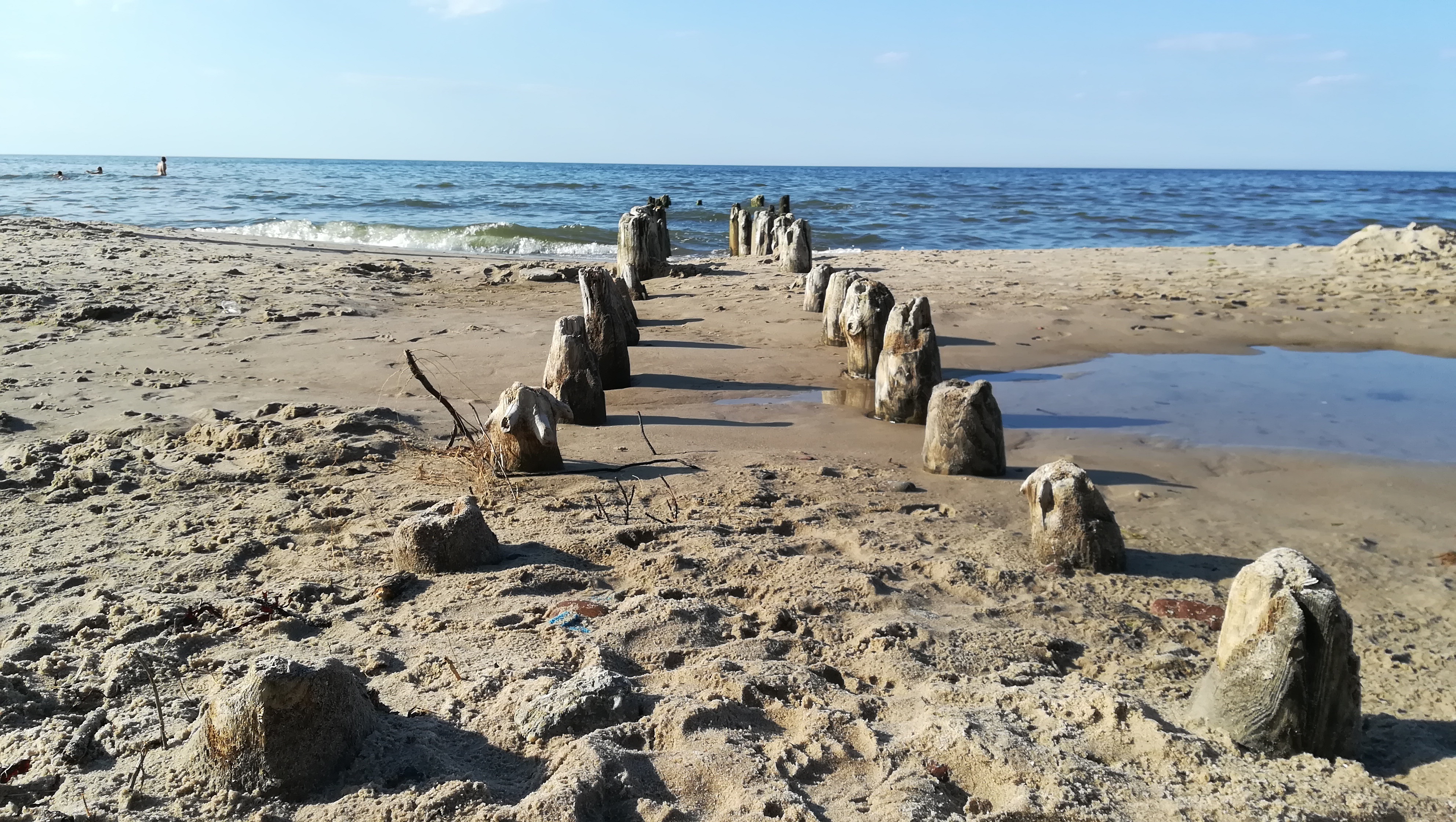Пляж картинки. Дикий берег балтийского моря. Фото моря и пляжа. Балтийский берег калининград. Балтийская коса дюны.