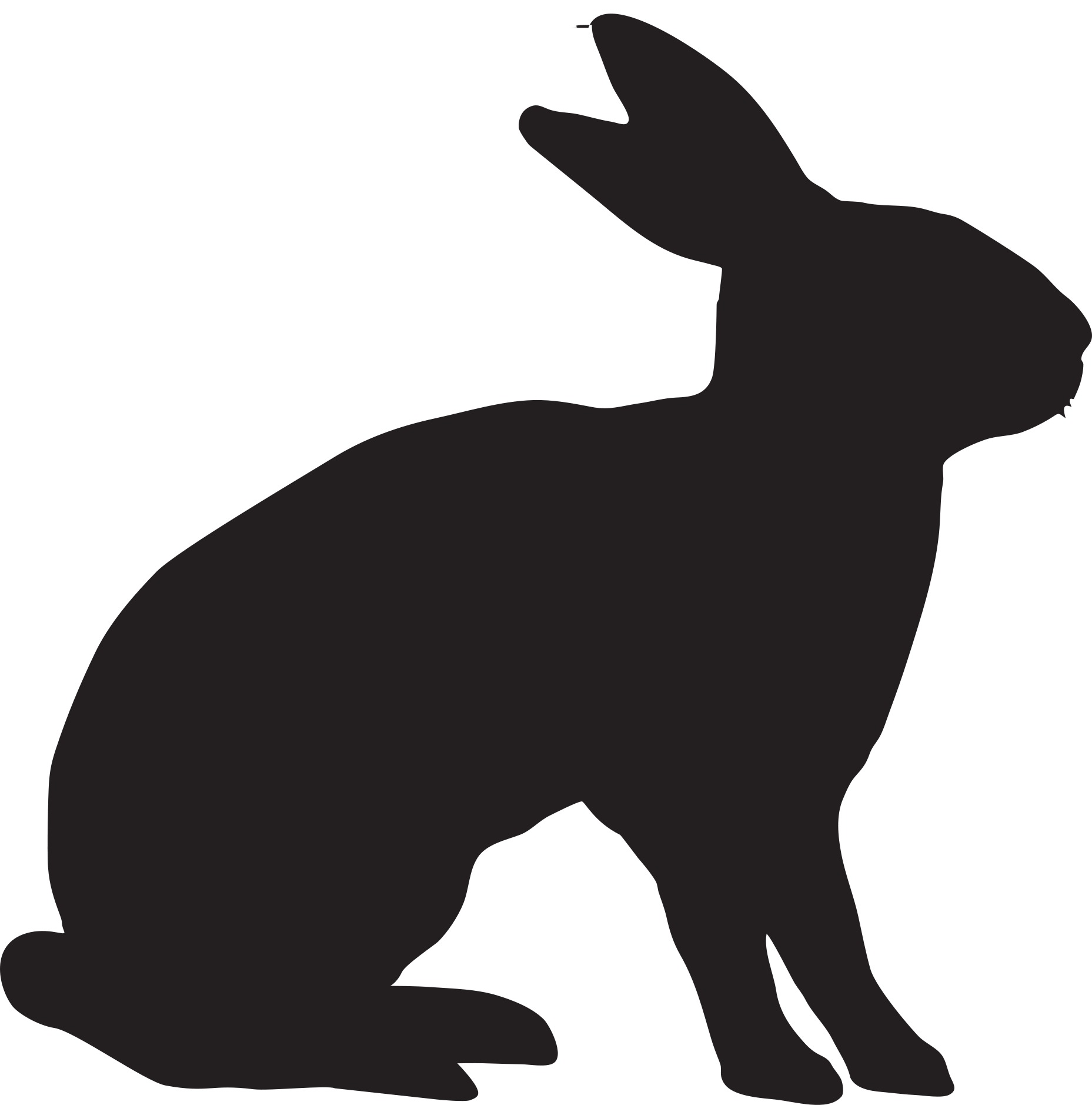 Rabbit animal bunny hare ears free image download