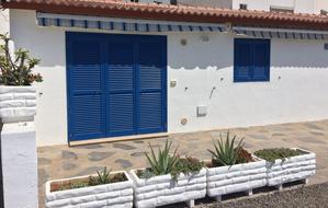 House White and Flowers