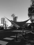 black and white photo of a city street