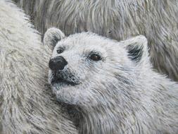 Polar Bear Wall Art