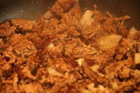 deep fried onions