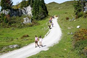 Alm Austria Wilder