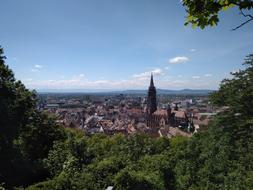 incredibly beautiful Forest and city