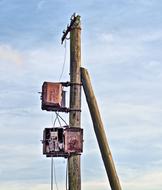 Phone Telecommunication Pole