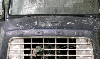 Antique Ford Truck