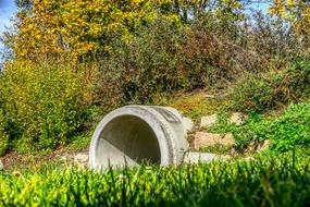 a big pipe in the green grass forest