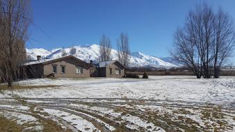 snow pasture on the background of houses