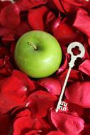 apple key rose