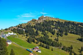 meadow trees mountain green