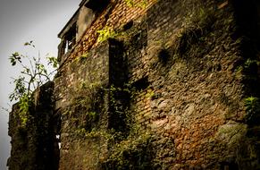 Home Ruin and grass