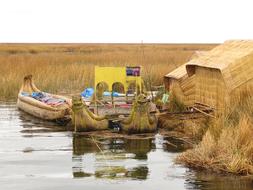 fishing boats in the river near the plants