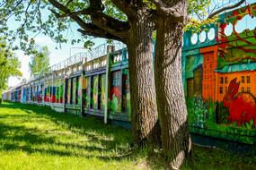 graffiti on the fence in the park