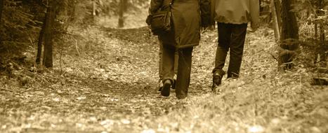 Autumn Walk Colours