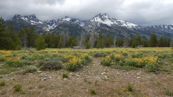 Mountains Landscape