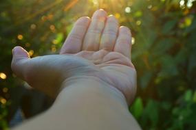 Hands Morning sun