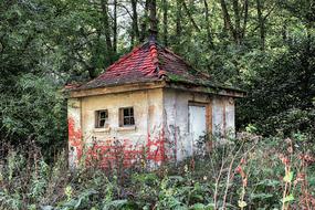 Old House Pump in forest