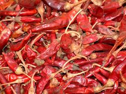 dried tasty peppers harvest
